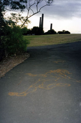 Sydney Park, 2000,