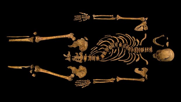 The skeleton of Richard III, with its twisted spine, which was discovered at the Grey Friars excavation site in Leicester. Photo: University of Leicester/Reuters, accessed via the Sydney Morning Herald website.