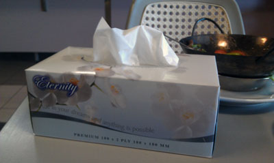 'Eternity' tissues, 2013 (photo by meganix).