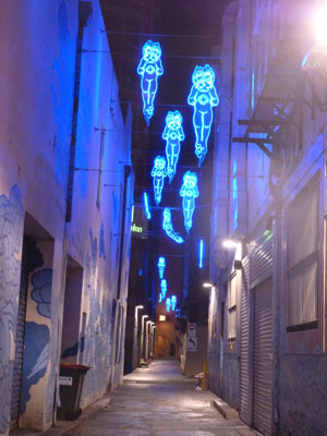 'Between Two Worlds' by Jason Wing in Kimber Lane, Sydney (photographs by meganix 2014)