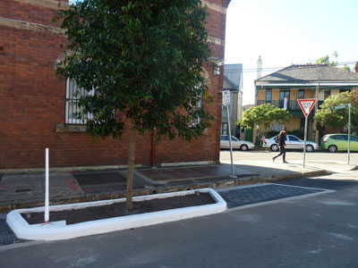 Enmore, 2014. One tree gained, two parking spaces lost.